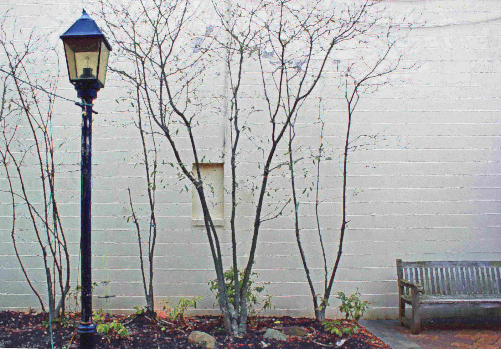 Wallpaper branch, tree, street light, light fixture, lighting, plant, house 4861x3386