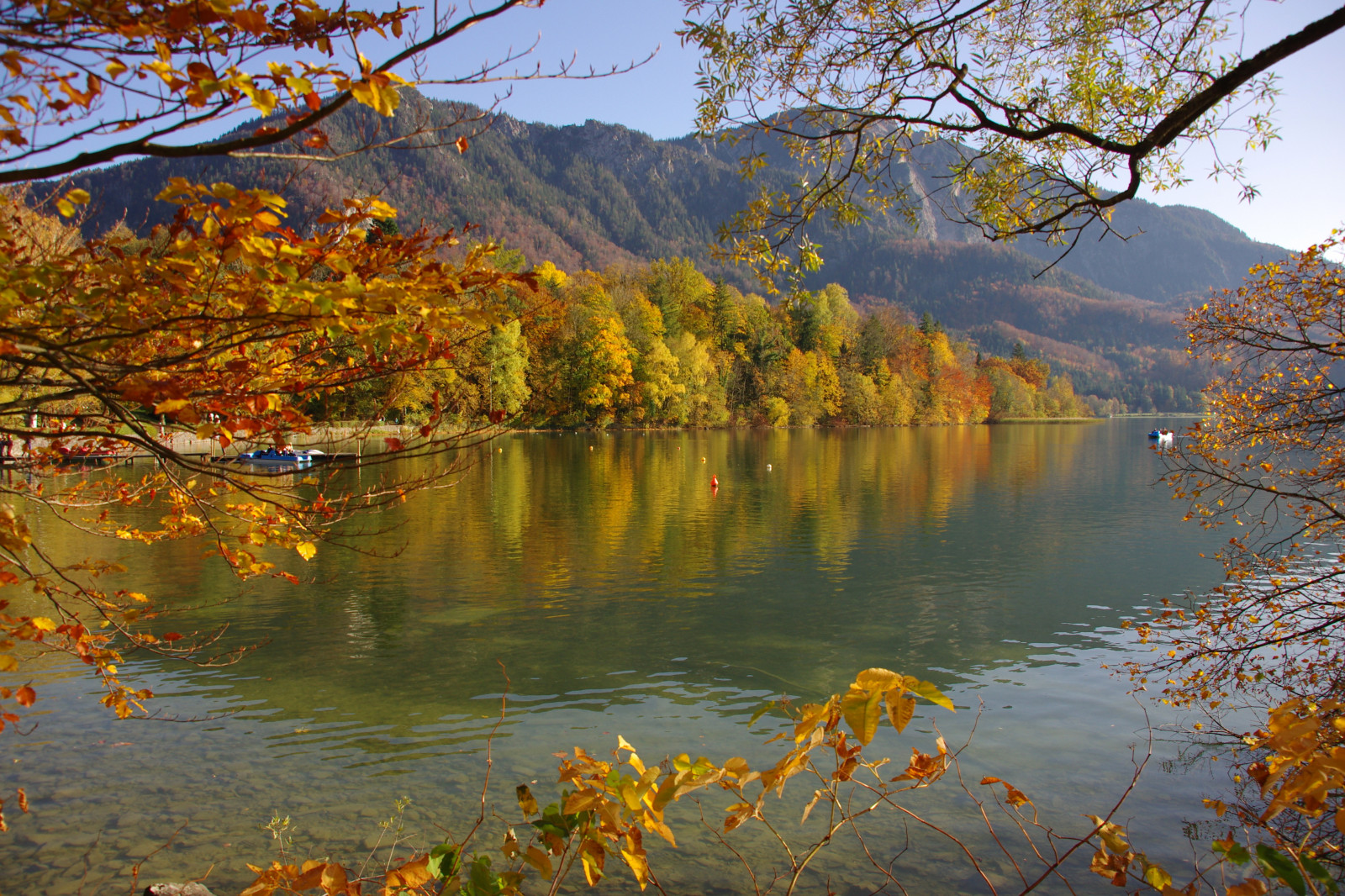 slunečnímu záření, krajina, podzim, jezero, voda, Příroda, odraz, nebe, větev, žlutý, večer, ráno, Německo, řeka, národní park, divočina, rybník, jaro, banka, mount scenérie, pentax, mokřadní, strom, podzim, list, hora, rostlina, mygearandme, K5, deutschland, vodní tok, nádrž, mygearandmepremium, mygearandmebronze, mygearandmesilver, mygearandmegold, bayern, vigilantphotographersunite, mygearandmeplatinum, mygearandmediamond, panoramafotografico, pleso, jezero, worldwidelandscapes, smíšený les, opadavý, modřín, národní park, Kochelsee, Kochel