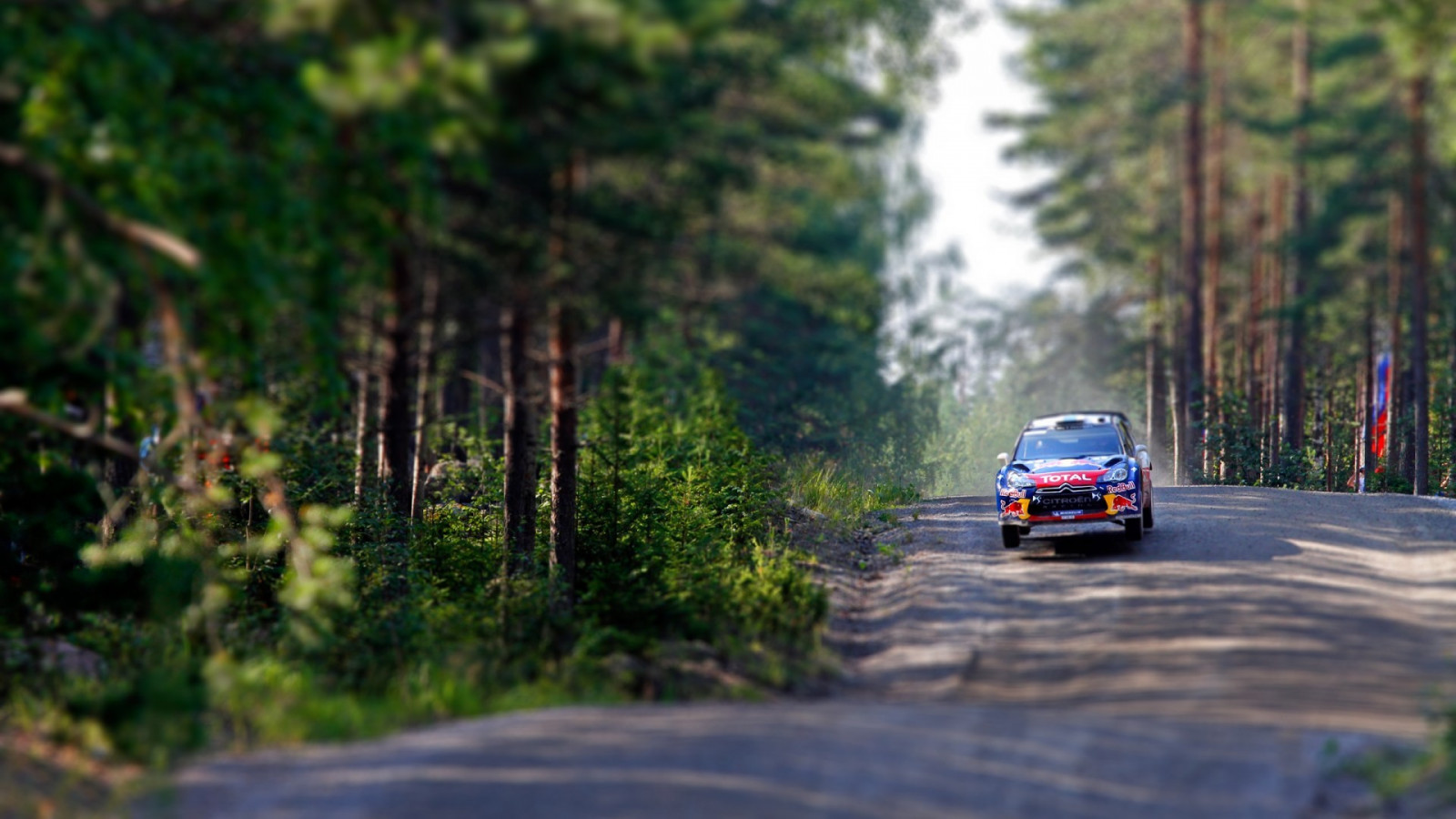 sportovní, les, auto, vozidlo, soutěžních vozů, závodění, motorsport, auto závodní, shromažďovací, Mistrovství světa rally, off road