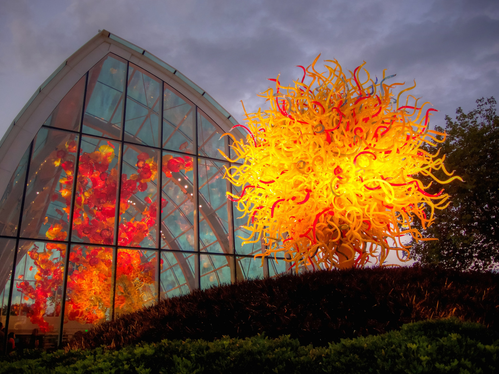 sollys, landskab, arkitektur, bygning, himmel, aften, glas, Seattle, lys, Sky, træ, blad, washington, plante, milepæl, facade, wa, computer tapet, Chihuly