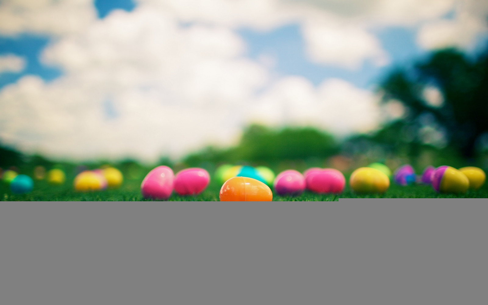 Wallpaper : grass, beads, colorful, bright 2560x1600 - - 646146 - HD