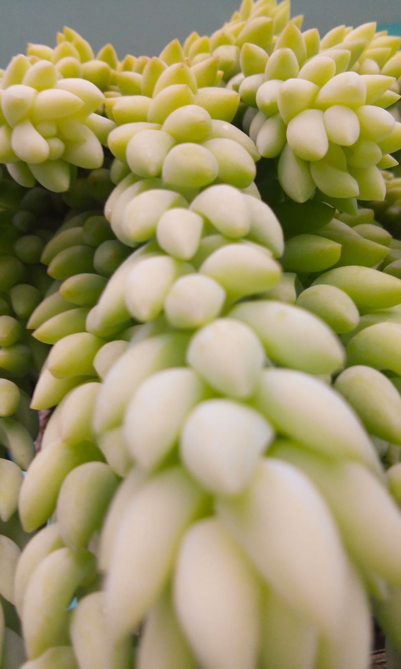 1920x3200 px, Natur