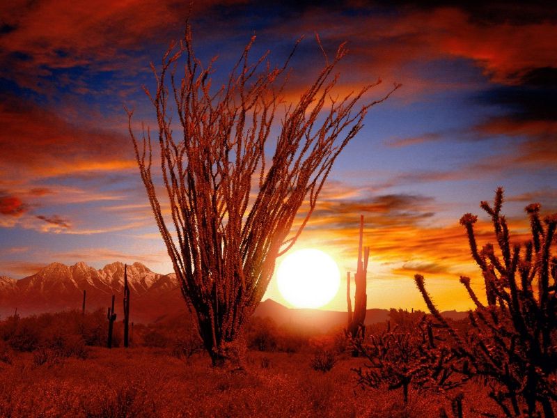 luce del sole, paesaggio, tramonto, natura, cielo, campo luce del sole, paesaggio, tramonto, natura, cielo, campo
