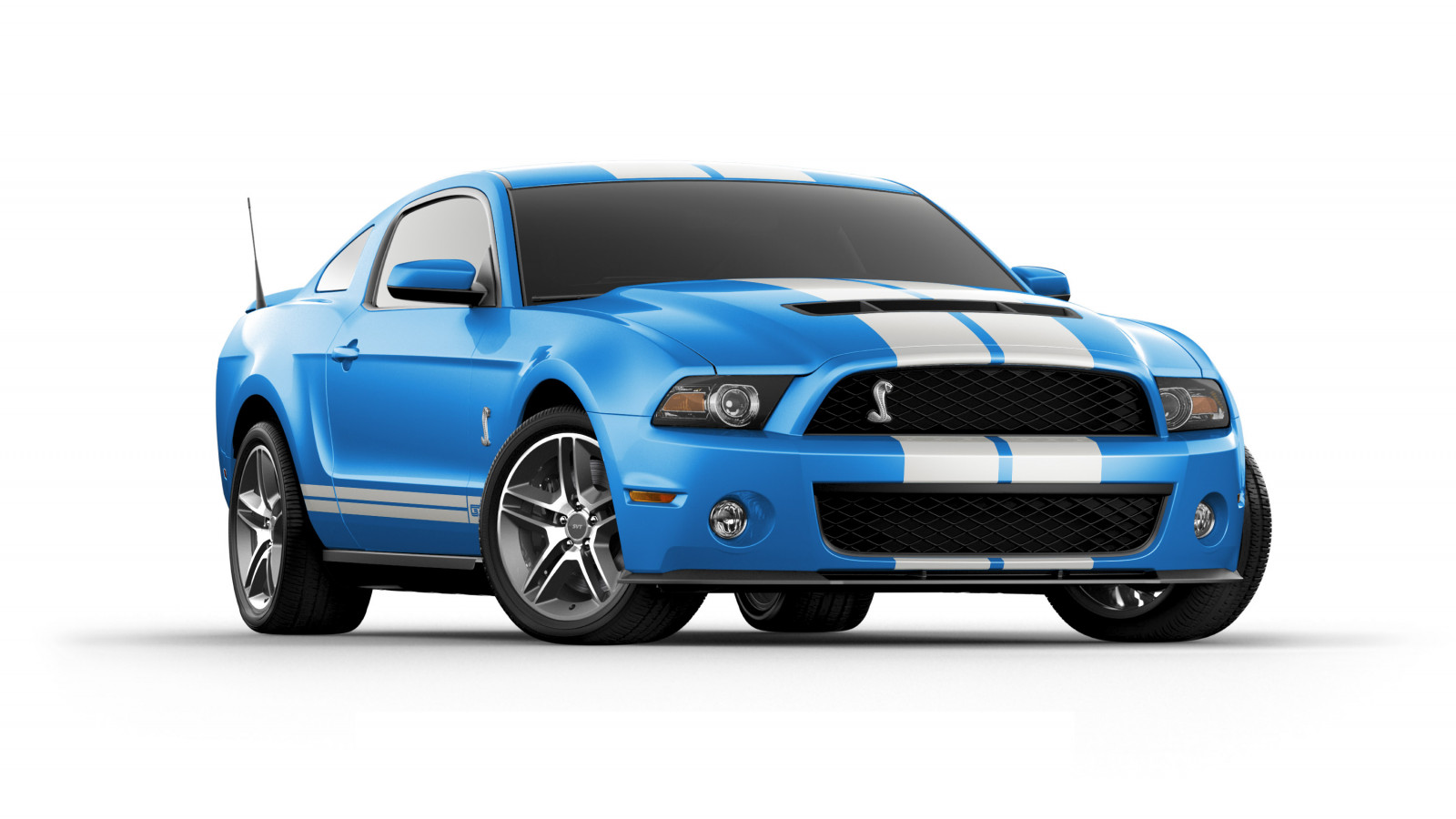 bil, køretøj, Ford, 2013, klassisk bil, Shelby GT500, netcarshow, netcar, bil billeder, bil foto, hjul, kant, jord køretøj, bildesign, automotive exterior, bil make, model bil, kofanger, shelby mustang, gitter, muskel bil, stock car racing, fuld størrelse bil