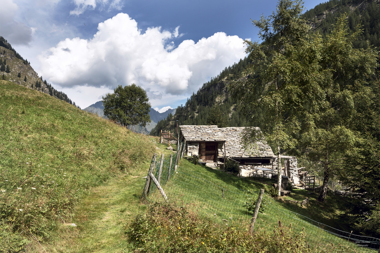 cesta, Příroda, sport, montagne, alpes, trekking, Kánon, Soleil, Evropa, samota, nadmořská výška, suvenýr, Beaute, paysage, exterieur, parc, vue, col, Sentier, italie, espace, chemin, vacance, calme, sud, balade, Cime, Randonnée, Sauvage, saison, sommet, Vallee, kraj, Ekologie, reposant, d TENTE, Belvedere, tranquillit, Piemont, canon50d