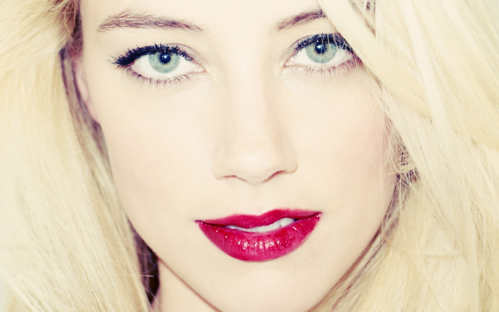 1920x1200 px, Amber Heard