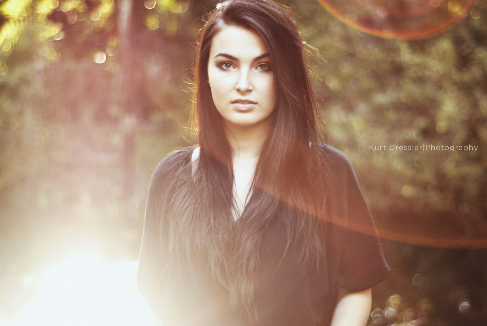 světlo, slunce, logo, fotografování, 50mm, Nikon, Alicia, přírodní, Florida, Kurt, lov, světlice, f18, křepelka, obratný, Okeechobee, Dressler, D80, blackard