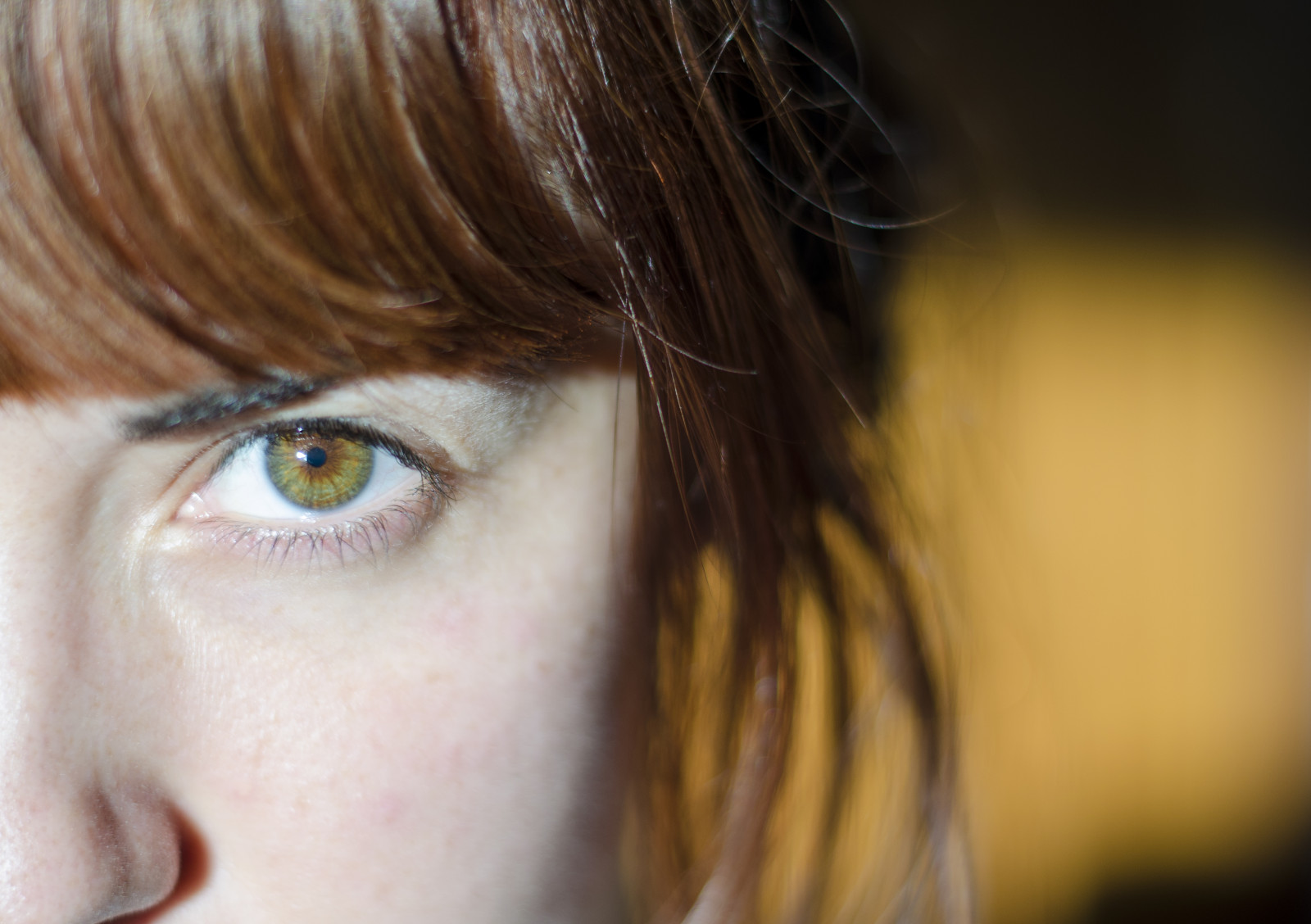 Wallpaper orange, green, eye, look, yellow, 50mm, intense, eyes