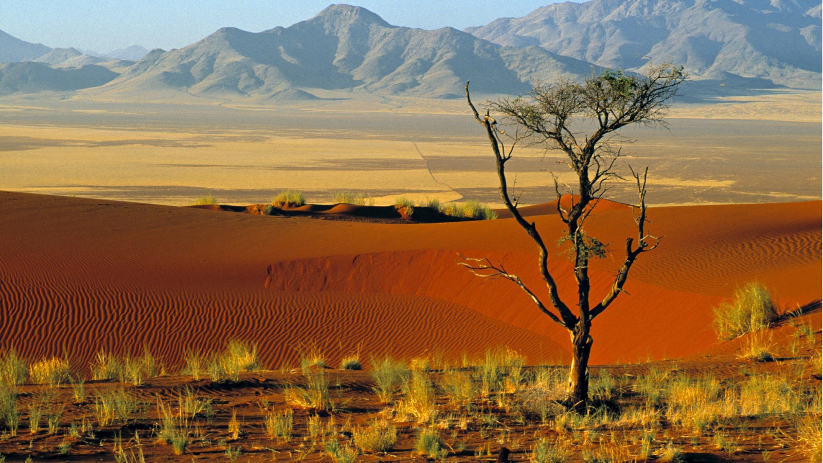 Sfondi paesaggio, montagne, campo, deserto, valle, natura selvaggia