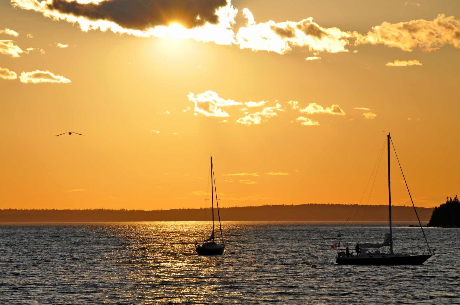 slunečnímu záření, loď, západ slunce, moře, voda, pobřeží, nebe, svítání, uklidnit, večer, ráno, řeka, slunce, horizont, Kanada, Nikon, soumrak, Volný, uvolnit, Jarvis, mrak, svítání, oceán, jachta, vlna, D300, odlesk, nové Skotsko, Dennis, jsem Kanaďan, dennisjarvis, archer10, dennisgjarvis, 18200vr, Frenchvillage