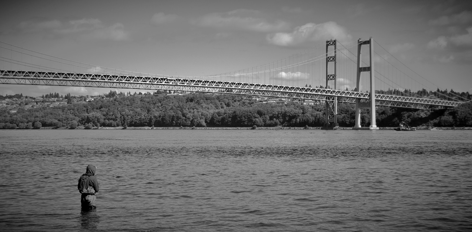 krajina, černobílý, moře, voda, nebe, fotografování, večer, most, řeka, horizont, Nikon, visutý most, rybolov, mrak, strom, cestovat, washington, Stát, D3200, nikond3200, Černý a bílý, monochromatické fotografování, Tacoma, zužuje, Tacomanarrows, Nikonnation, fixed link
