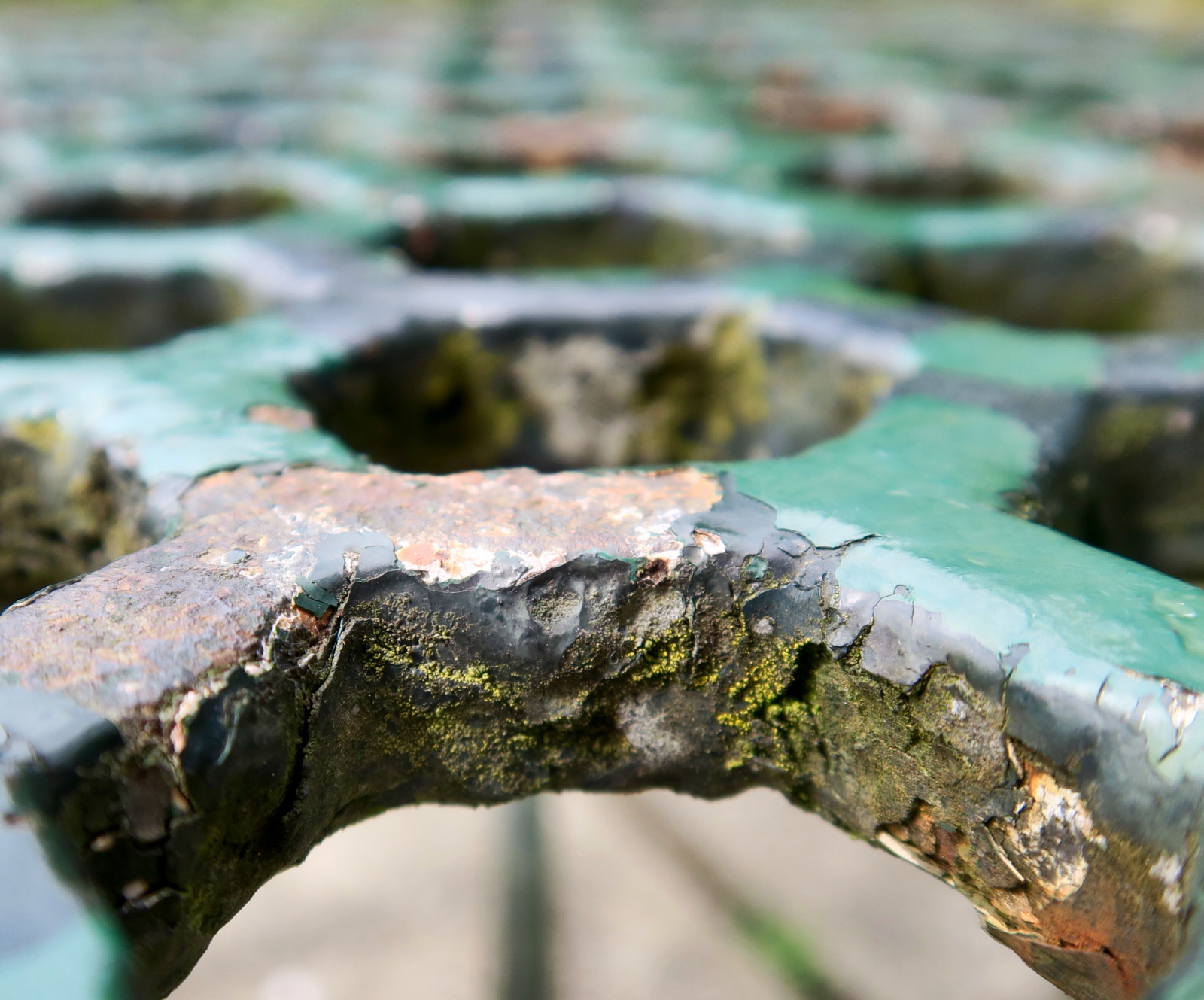 voda, Skála, tráva, pole, makro, lavice, strom, macromondays, venkovní, hloubka, textury, flickrphotowalk, Makrotexy