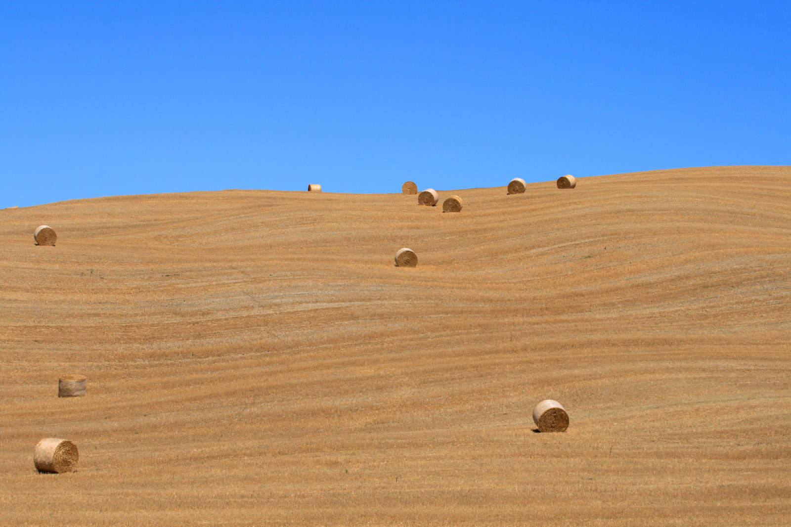 letní, nebe, Itálie, pole, čáry, krajina, Italia, den, majetek, horizont, kopec, sláma, srpen, Průhledná, agosto, cielo, údolí, Toskánsko, campo, Pienza, zemědělství, Balla, balíky, toscana, Valdorcia, žok, paesaggio, collina, Paglia, Orizzonte, balle, LINEE, Agricoltura, orcia, flickrphotoaward, flickrelite, Landscapestrawbales