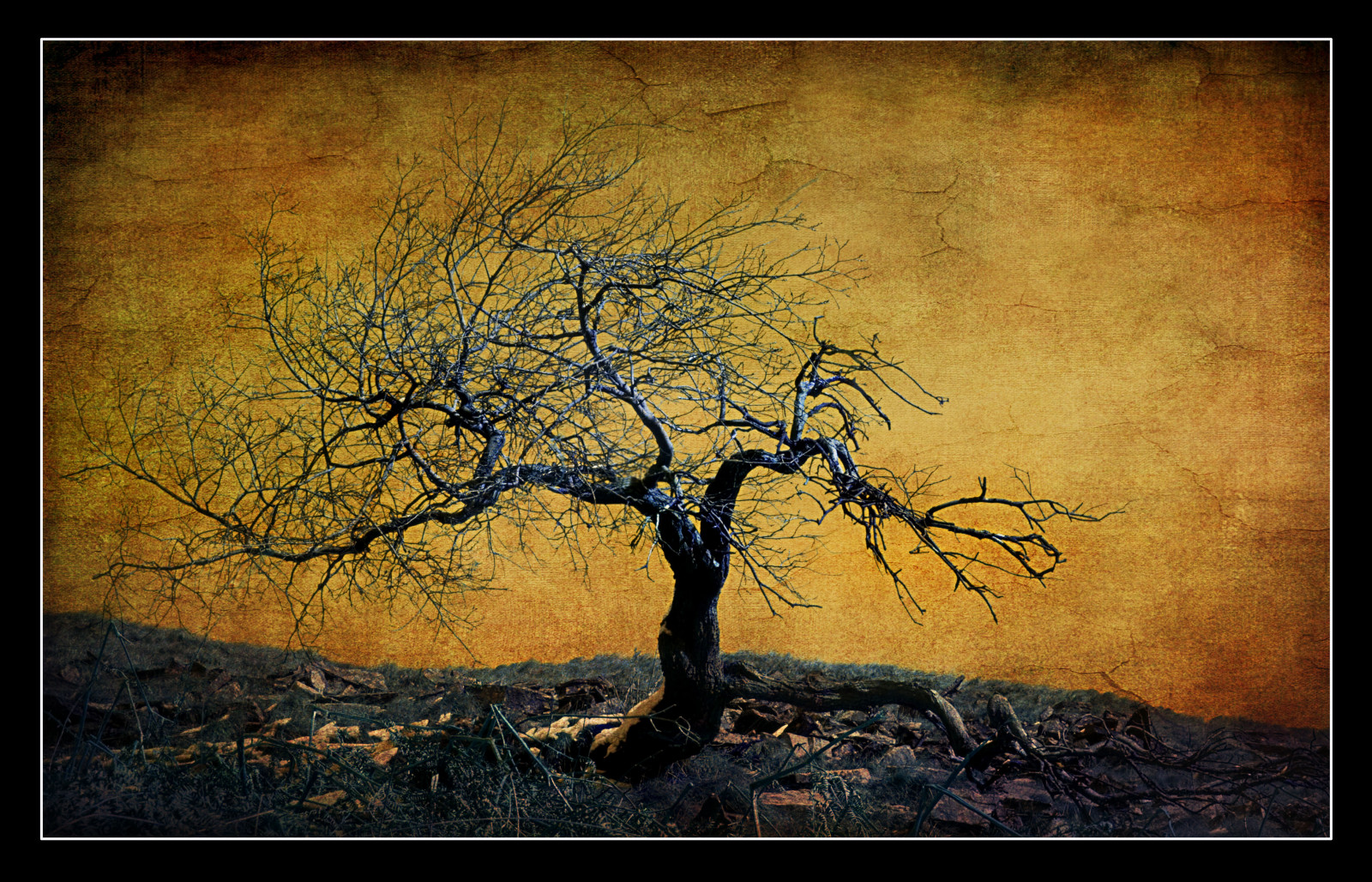 Wallpaper landscape, painting, nature, sky, snow, branch, yellow