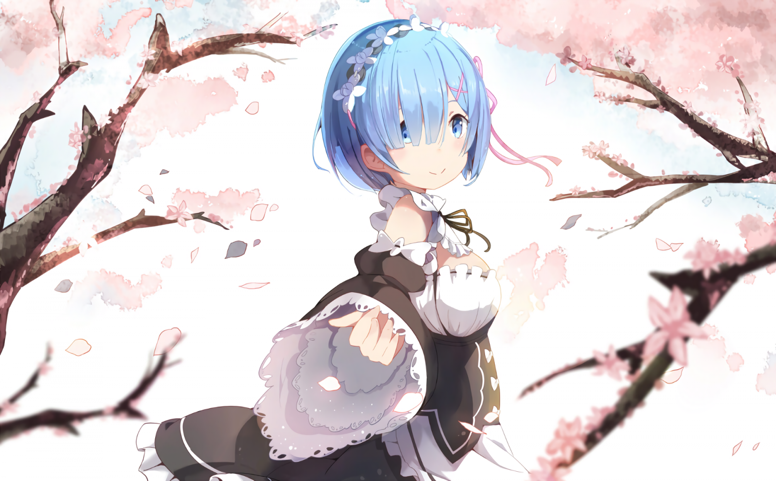 Wallpaper : anime girls, Re Zero Kara Hajimeru Isekai Seikatsu ...