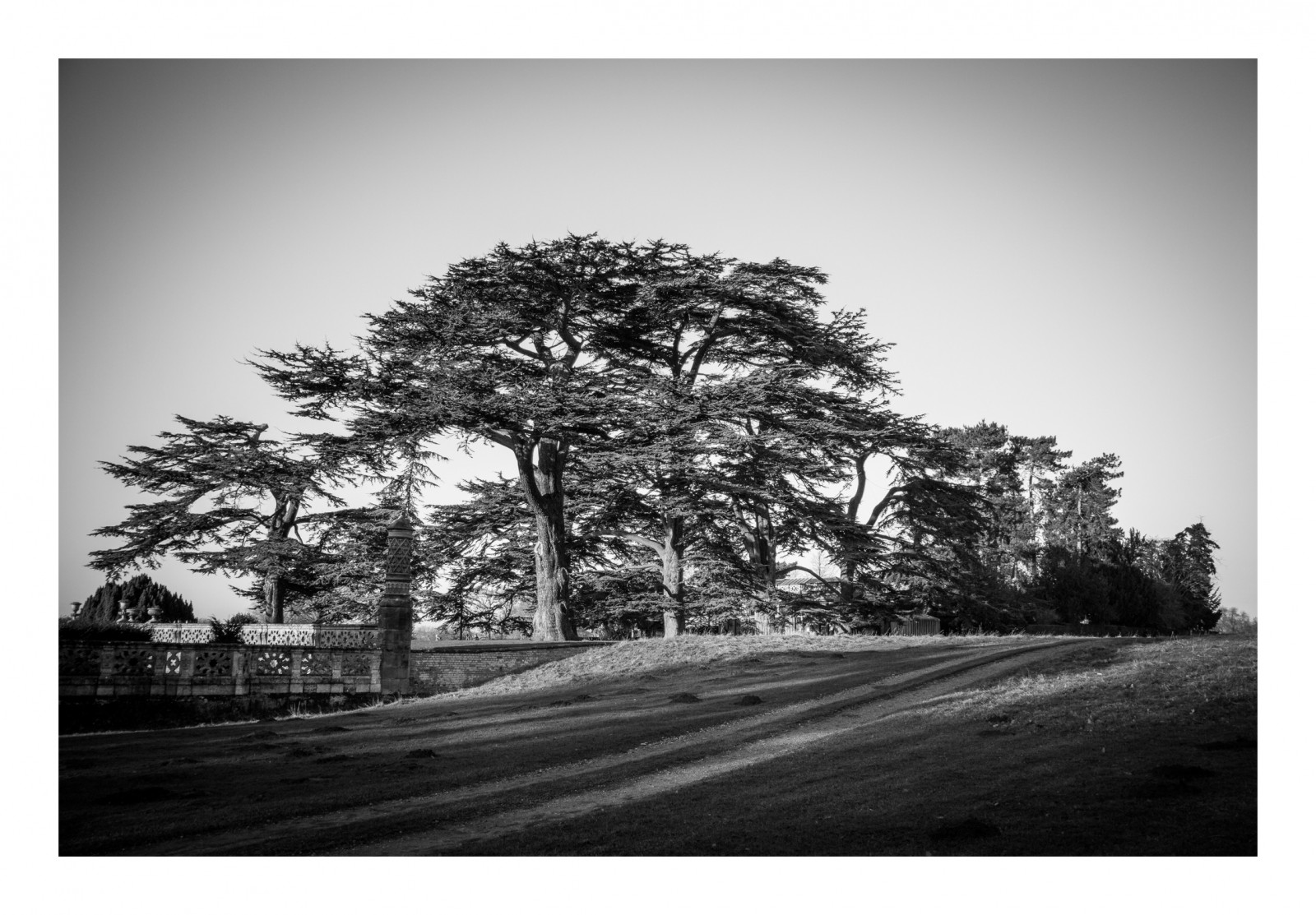 Wallpaper Canon, eos, national, trust, 1855mm, STM, charlecote
