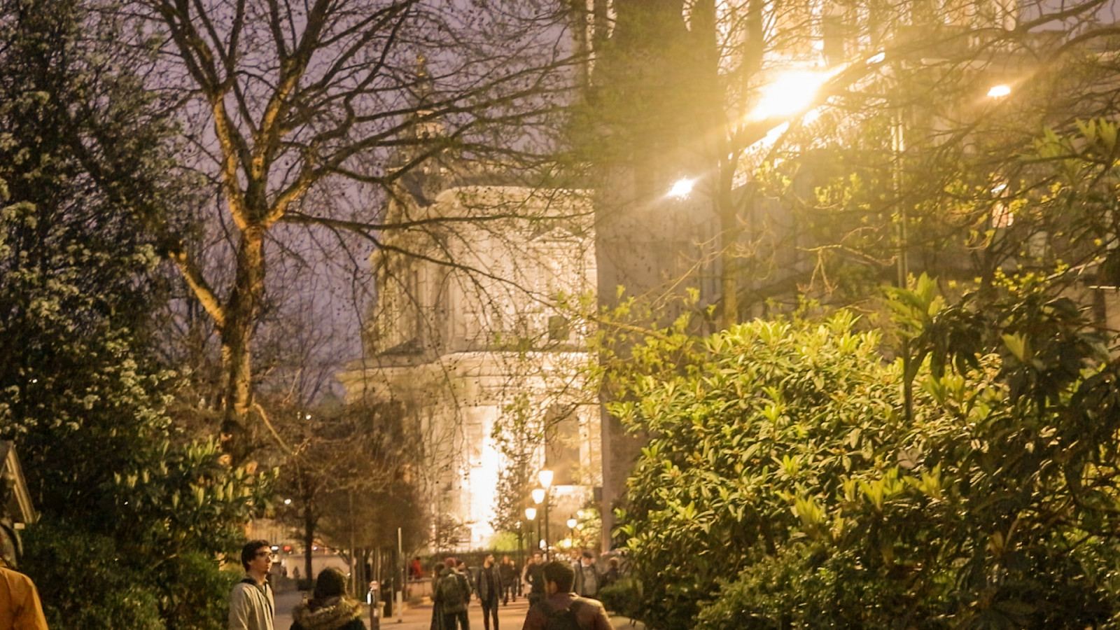 Wallpaper plants, London, British, England, UK, city 1920x1080