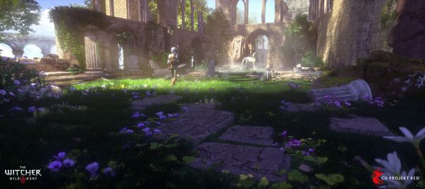 purple, plant, green, light, botany, flower