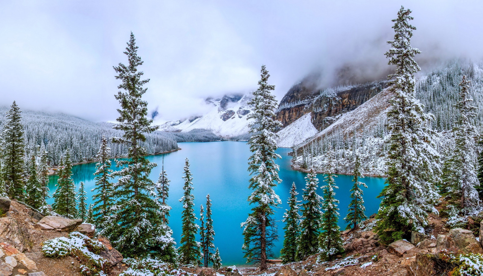 Wallpaper trees, landscape, forest, lake, nature, snow, winter