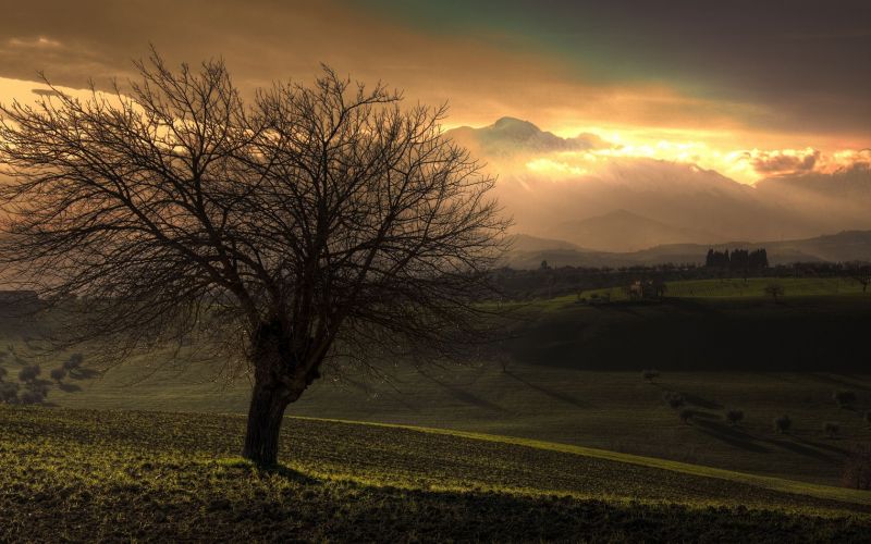 Sonnenlicht, Bäume, Landschaft, Sonnenuntergang, Hügel, Natur Sonnenlicht, Bäume, Landschaft, Sonnenuntergang, Hügel, Natur