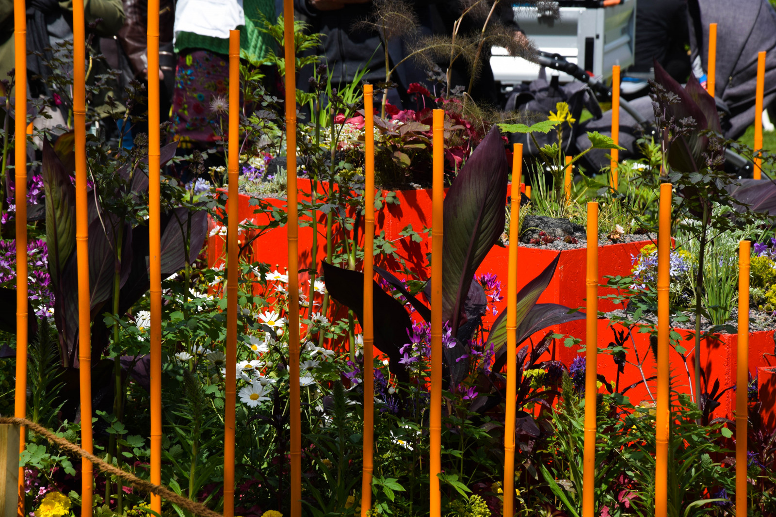 zahrada, nebe, rostliny, mraky, zelená, Švédsko, barva, podzim, barvy, květ, rostlina, flóra, Malmo, Malm gardenshow, slottstr dg rden, barvy