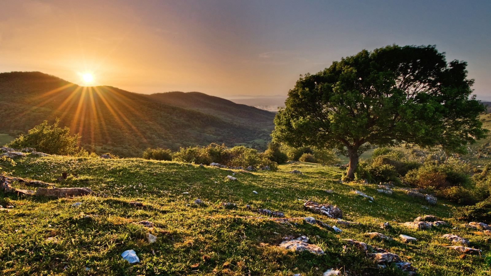 Wallpaper sunlight, trees, landscape, forest, sunset, hill, nature