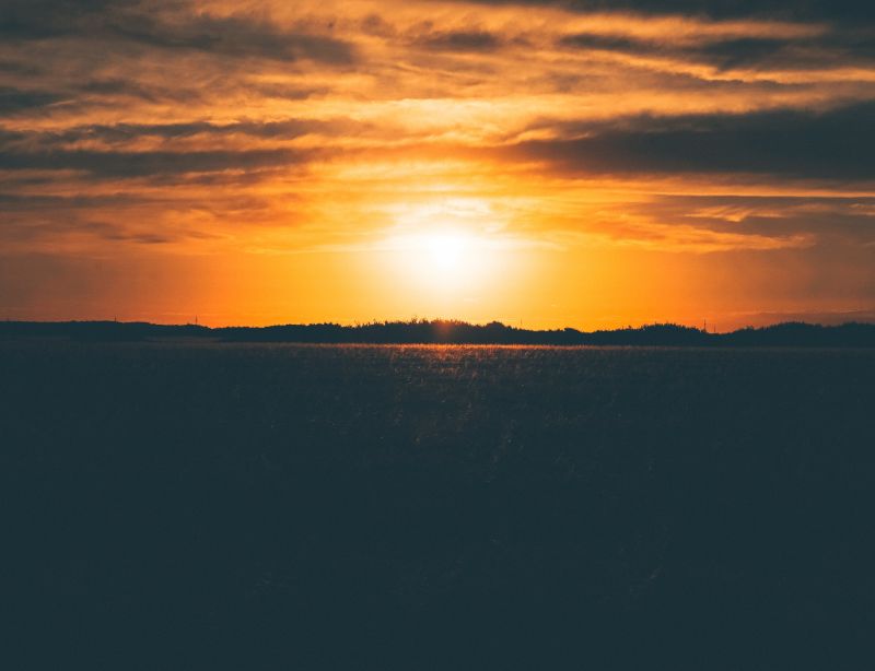 Hoàng hôn,cánh đồng,cỏ,Bầu trời