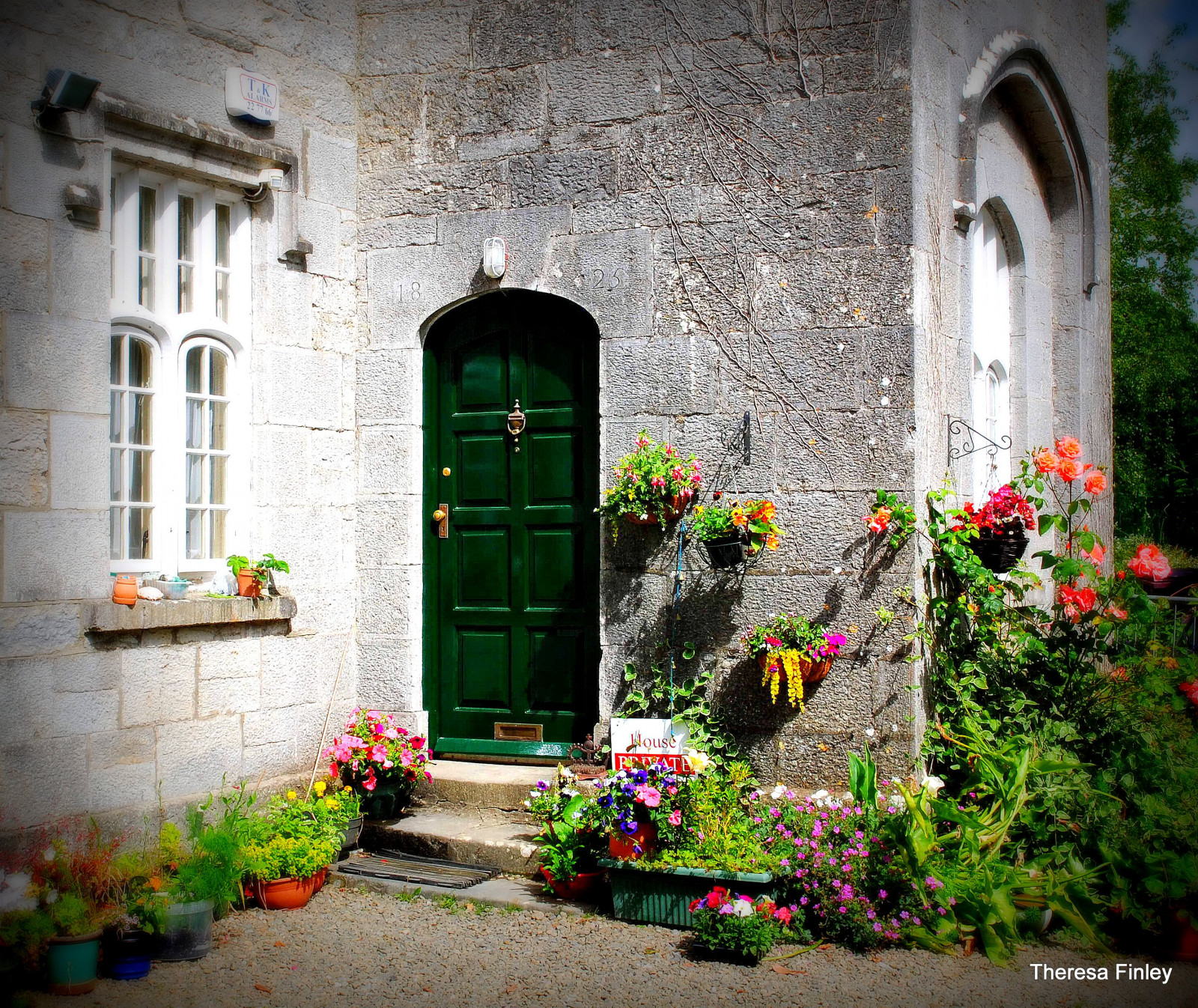 porta, fiori, Irlanda, piante, verde, finestra, pietra, viti