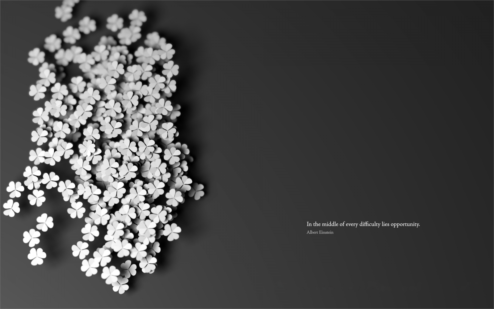 อ้าง, การพิมพ์ตัวอักษร, ดอกไม้, นามธรรม, ขาวดำ