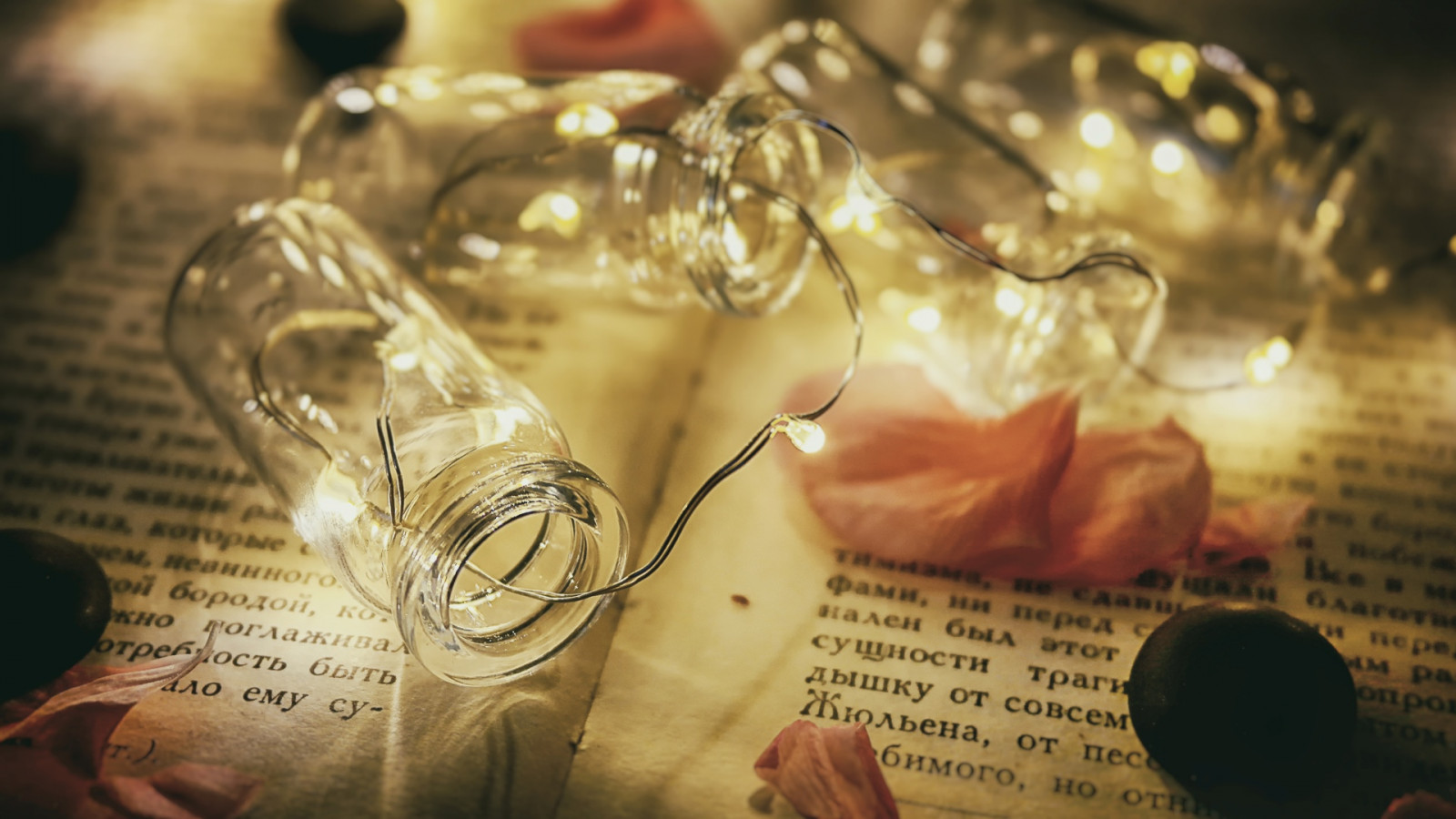 detailní, makro, teplý