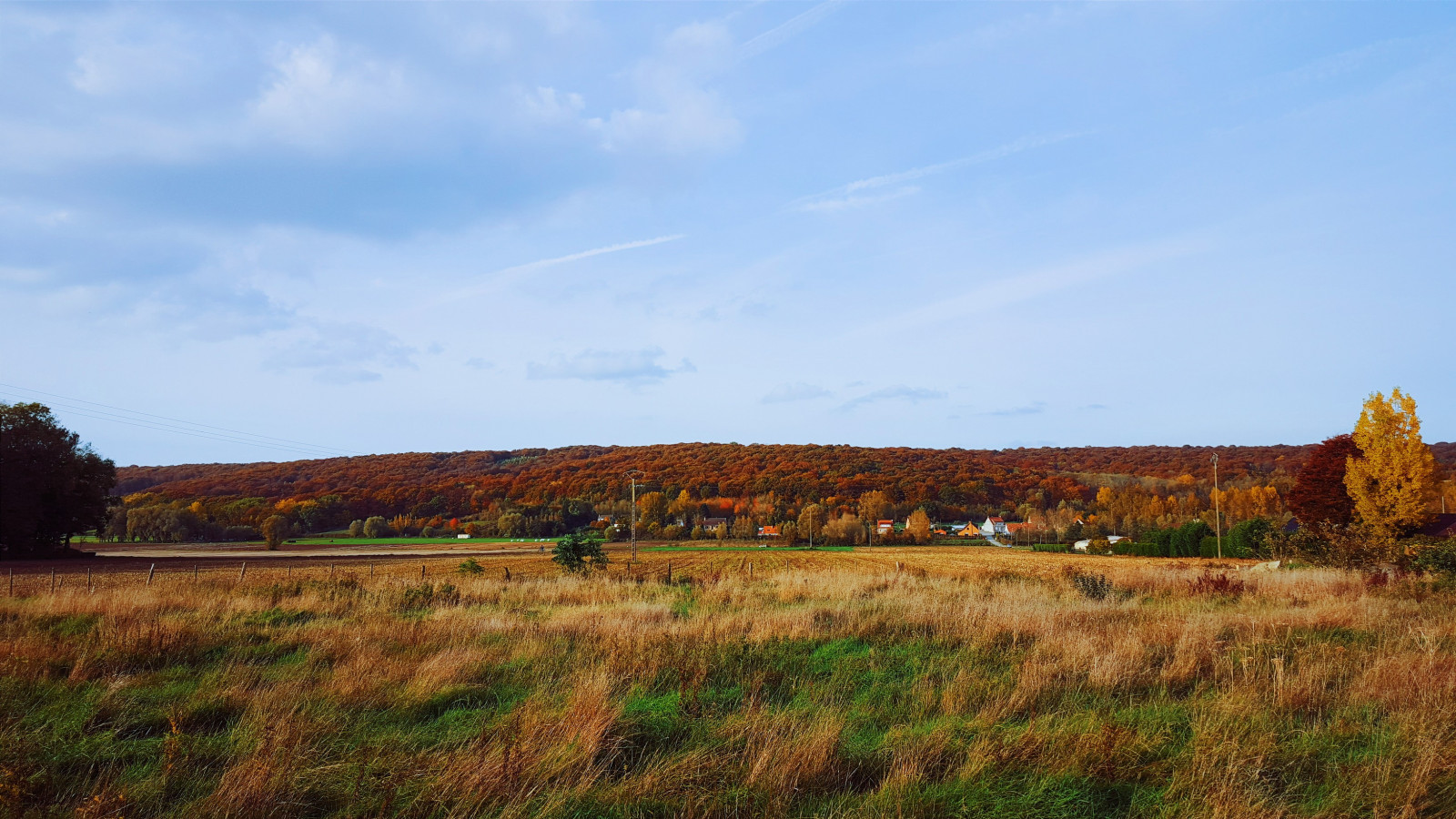 ต้นไม้, แนวนอน, ภูเขา, เนินเขา, ธรรมชาติ, หญ้า, ท้องฟ้า, ฟิลด์, การถ่ายภาพ, เมฆ, ฟาร์ม, ขอบฟ้า, ถิ่นทุรกันดาร, ที่ราบสูง, บริภาษ, พื้นที่ชุ่มน้ำ, ต้นไม้, ฤดูใบไม้ร่วง, ภูเขา, ทุ่งหญ้า, ทุ่งเลี้ยงสัตว์, เกษตรกรรม, ทุ่งหญ้า, ที่ราบ, ทุ่งหญ้า, ดิน, เขตชนบท, ถิ่นที่อยู่, สภาพแวดล้อมทางธรรมชาติ, คุณลักษณะทางภูมิศาสตร์, ระบบนิเวศ, สะวันนา