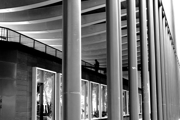 monochrome,city,architecture,window,building,symmetry