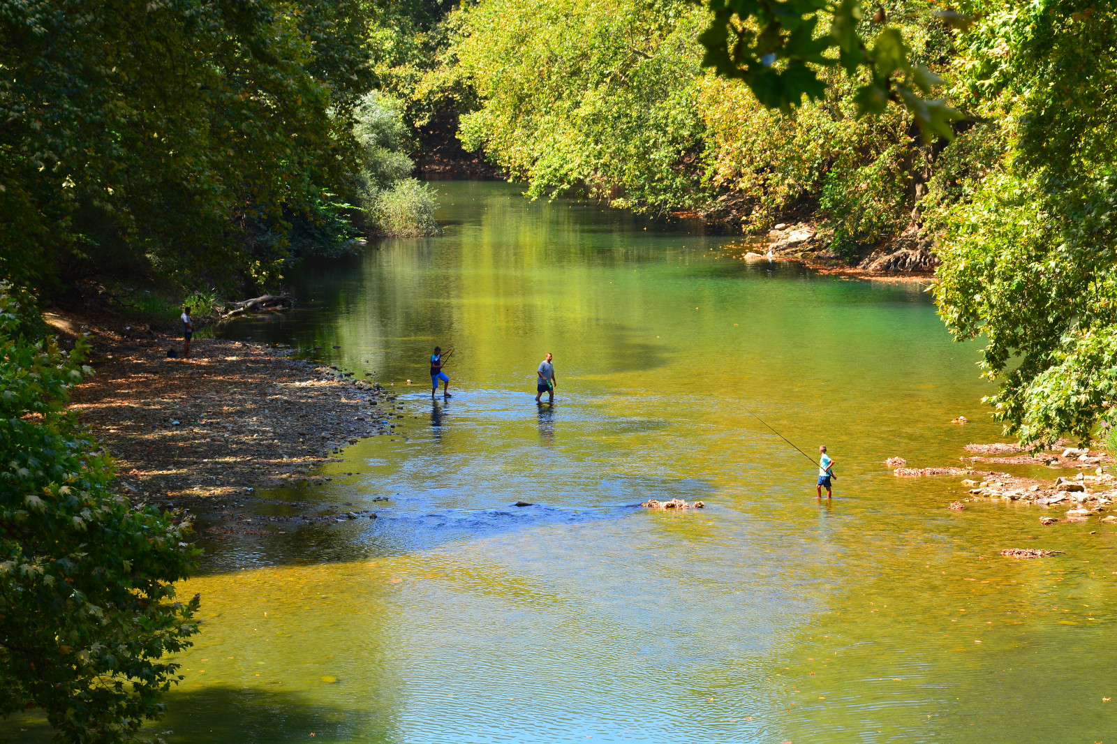 stromy, krajina, jezero, voda, Příroda, odraz, tráva, nebe, zelená, řeka, Řecko, Nikon, rybník, proud, kanál, banka, rybolov, přírodní rezervace, mokřadní, strom, list, rostlina, pták, cestování, vodní tok, zátoka, ngc, d5200, prázdnin, Larisa, zálesí, Tempi, vodní, tělo z vody, vodní prvek, vodní pták, lužní les, Pinios, národní park, lužní, vodní zdroje, thessalia, přítok, Tembi, Pineios, riparian zone, fluvial landforms of streams