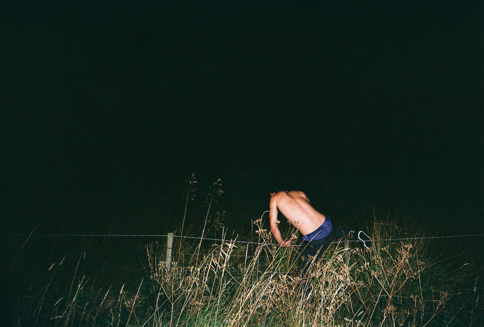 Příroda, nebe, tráva, Atmosféra Země, fotografování, tma, voda, atmosféra, slunečnímu záření, dívka, noc, strom, zábava, tráva rodina