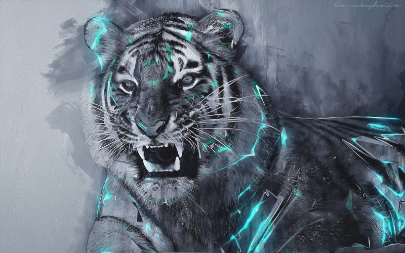 tigre, blu, ARTE, illustrazione, grandi gatti, sfondo del computer