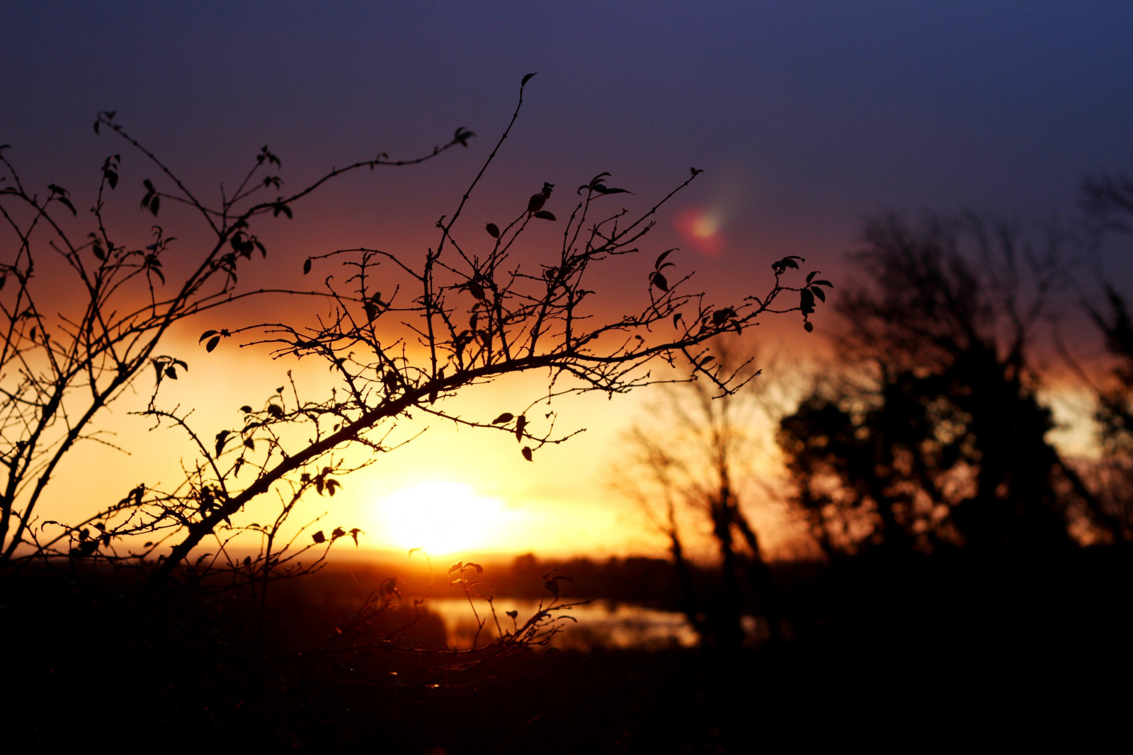 sollys, landskab, solnedgang, natur, himmel, planter, afdeling, solopgang, aften, morgen, Sol, atmosfære, skumring, Sky, træ, daggry, atmosfærisk fænomen, efterglød, rød himlen om morgenen