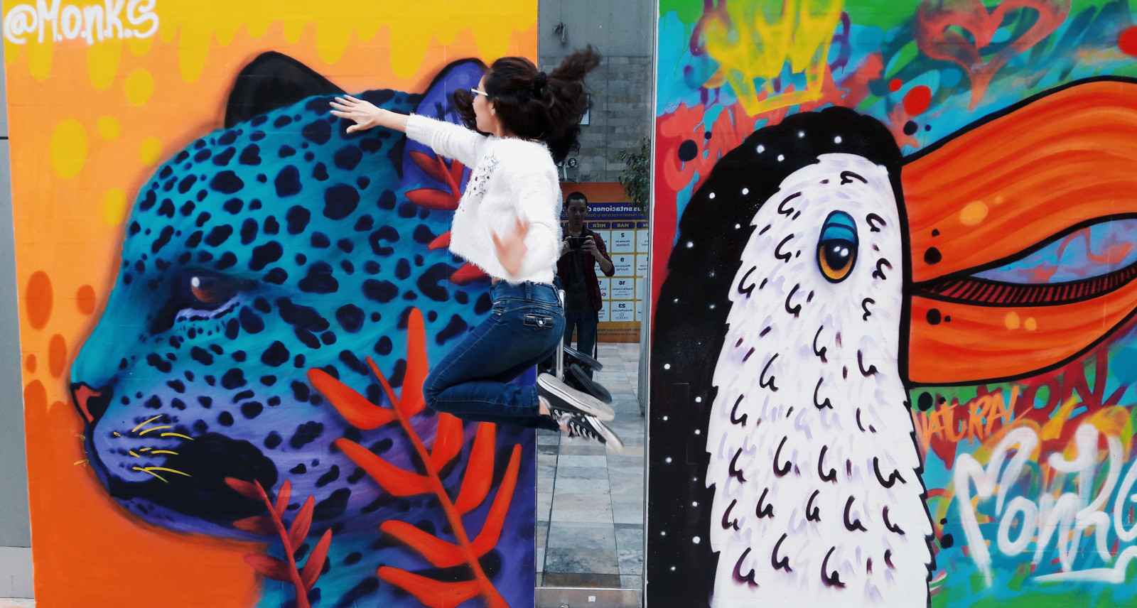 blomster, by, lima peru, Peru, solnedgang, grøn, restaurant, Miraflores, natur