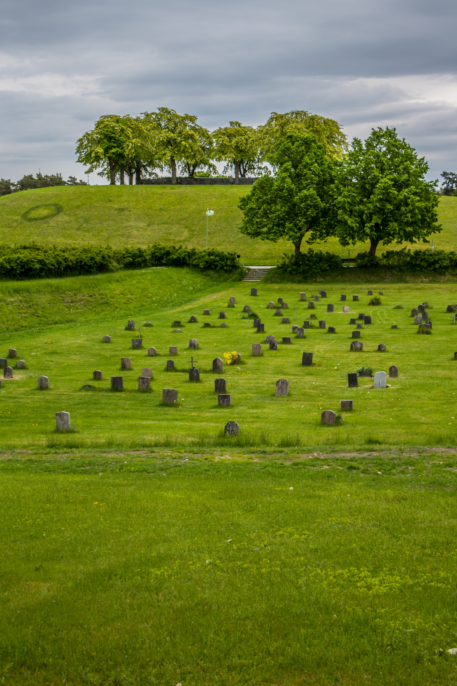 krajina, kopec, Příroda, tráva, pole, zelená, hospodařit, přejít, hrob, Stockholm, plošina, strom, list, květ, lučina, kyrkog rd, pastvina, hřbitov, attackfoto, attackfoto7, skogskyrkog rden, thewoodlandcemetery, gravitační, Kors, zemědělství, louka, prostý, trávník, prérie, venkov, místo výskytu, přírodní prostředí, ekosystém, tráva rodina, neloupané pole, pastvisko