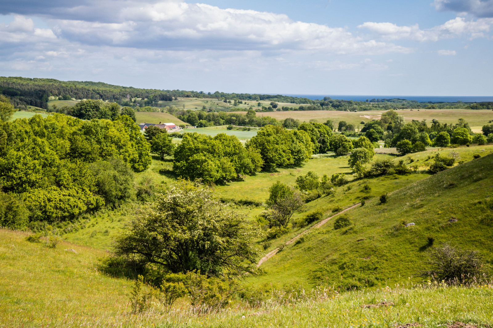 krajina, kopec, Příroda, tráva, pole, zelená, plošina, strom, hora, květ, lučina, rostlina, pastvina, sterlen, vegetace, exif modelu canoneos760d, Kamera aby kánon, Model fotoaparátu canoneos760d, geolocation, EXIF čočka efs18200mmf3556is, exif aby kánon, EXIF isospeed 100, EXIF otvor 80, exif focallength 32mm, gr n, br sarpsbackar, Kulle, br Sarp, louka, prostý, prérie, venkov, místo výskytu, přírodní prostředí, geografický rys, ekosystém