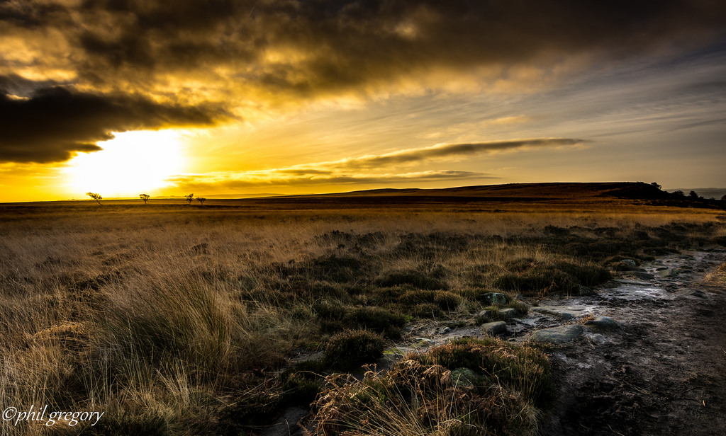 Peak District, nikond7200, tokina116pro, stromy, světlo, nebe, široký úhel, Ultrawide