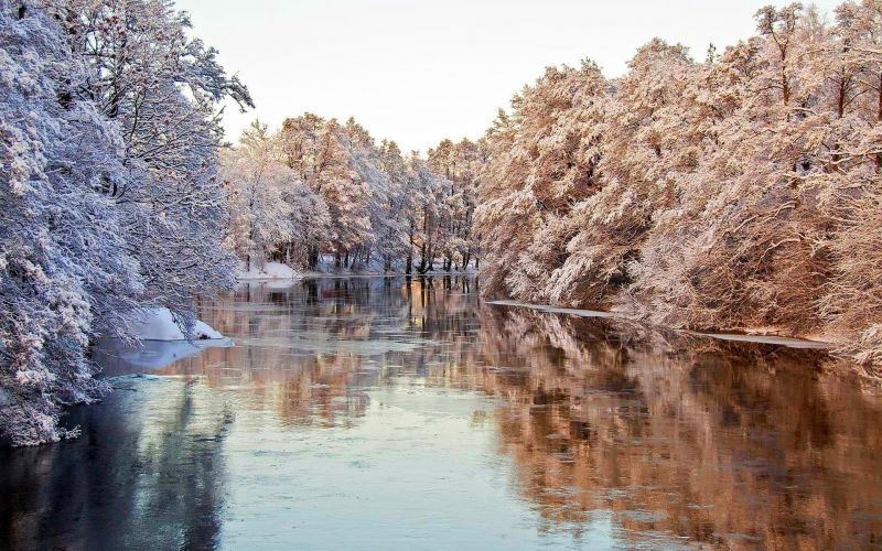 krajina, Příroda, odraz, zima, větev, mráz krajina, Příroda, odraz, zima, větev, mráz