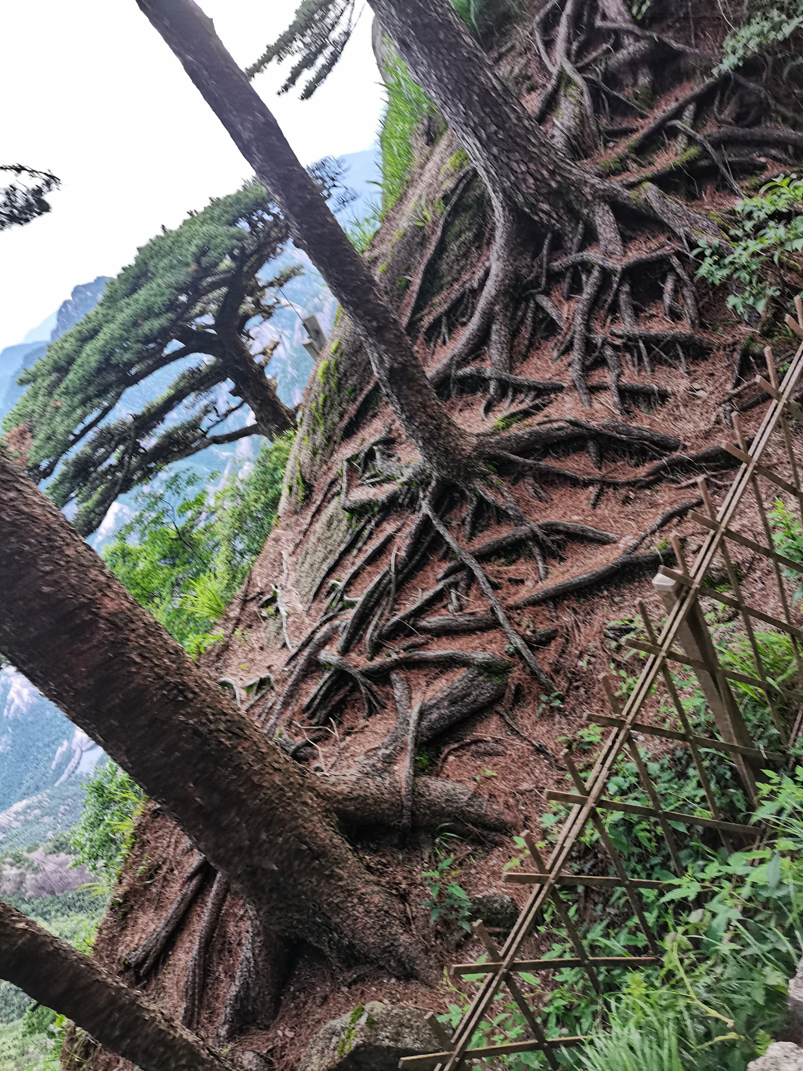 mountain huang, hory