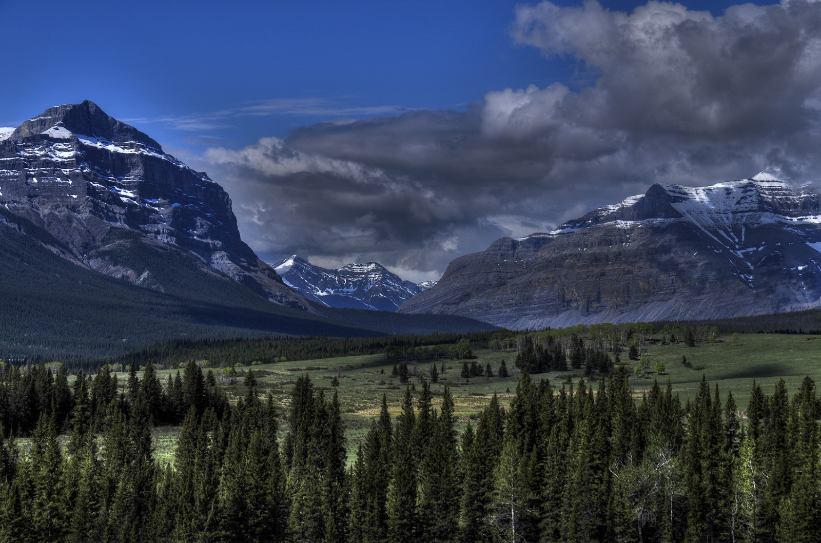 landskab, Skov, bakke, natur, græs, himmel, sne, vinter, Mark, atmosfære, Canada, Nationalpark, dal, Nikon, bjergpasset, ødemark, Alperne, Alberta, mount landskaber, topmøde, tundra, plateau, ryg, Terræn, Sky, træ, bjerg, græsarealer, plante, Massif, Sundre, eng, sigma, Rocky Mountains, D300, highland, 18200, rockies, computer tapet, vedplante, bjergrige landskabsformer, biom, bjergkæde, moræne, iskold landskabsform, meteorologisk fænomen, faldt, cirque, yahatinda, elevation, continental divide