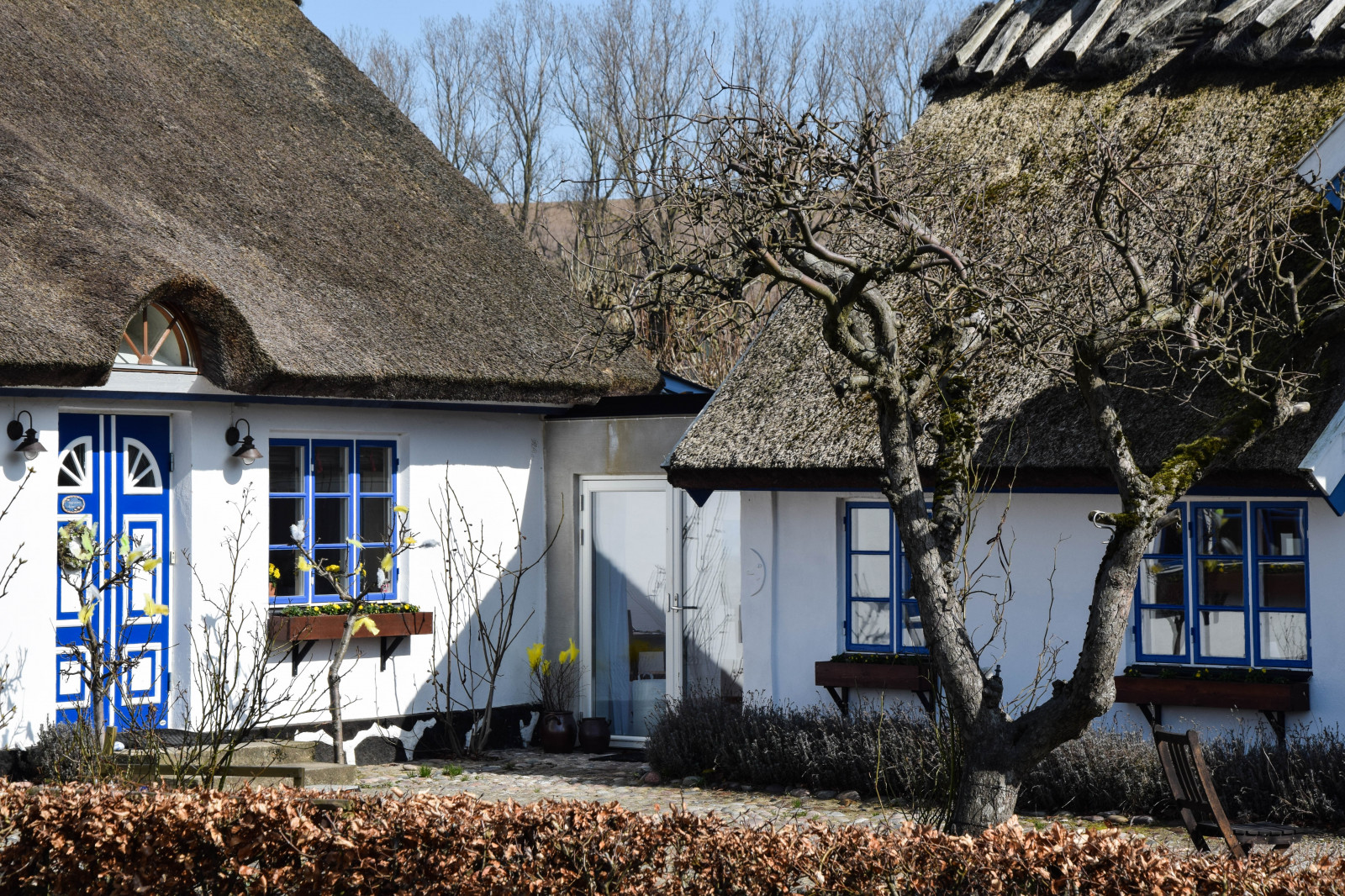 ธรรมชาติ, ผนัง, บ้าน, หมู่บ้าน, เมือง, สวีเดน, ฤดูใบไม้ผลิ, อีสเตอร์, กระท่อม, Sverige, ต้นไม้, ดอกไม้, กลางแจ้ง, sk nel n, se, sk ne, v r, sterlen, p sk, บ้าน, ชานเมือง, เขตเมือง, ย่านที่อยู่อาศัย