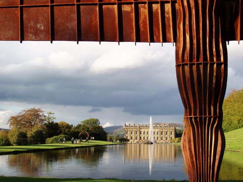 voda, nebe, strom, tráva, odraz, rostlina