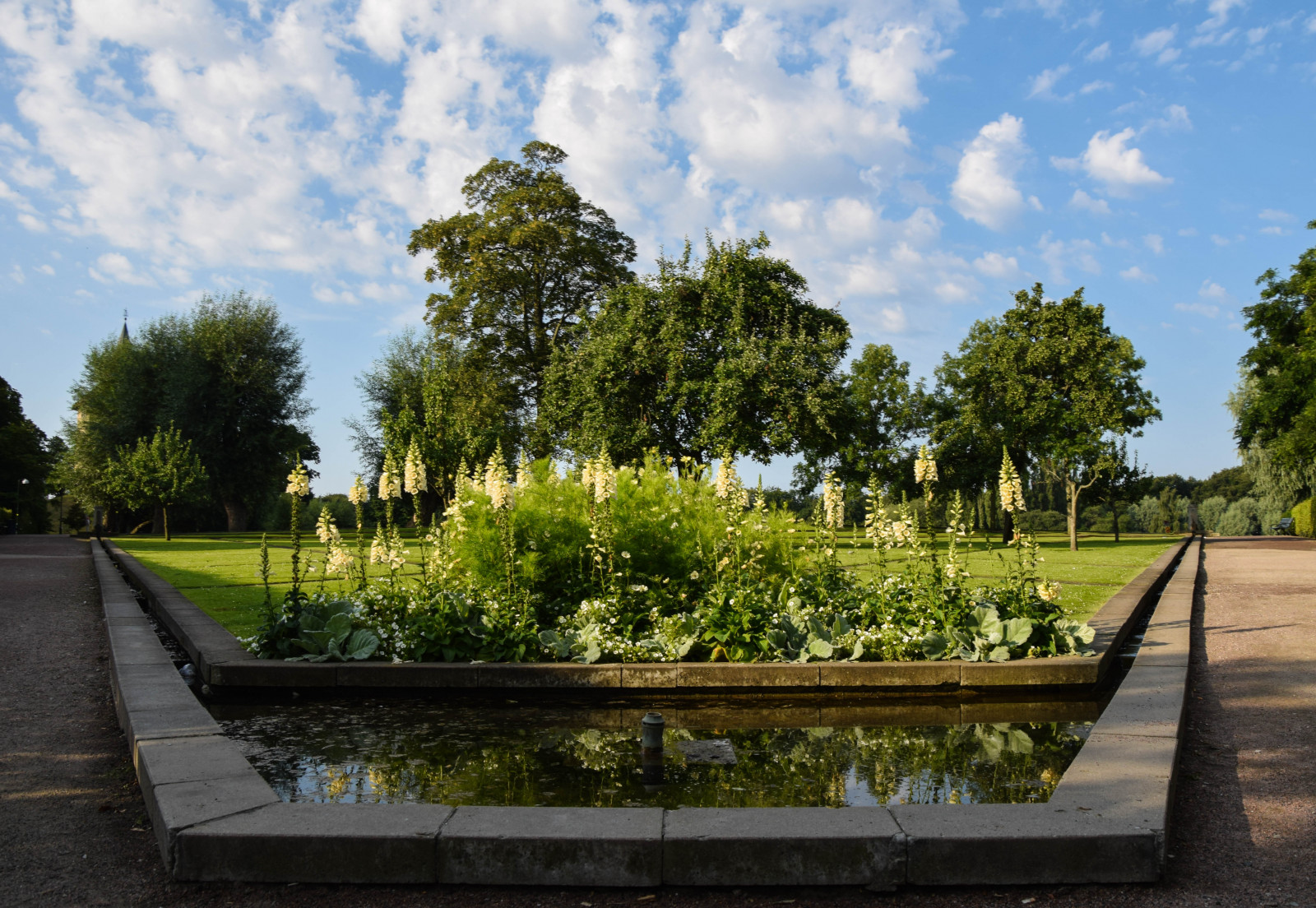 květiny, zahrada, voda, Příroda, odraz, tráva, nebe, park, mraky, zelená, letní, rybník, Švédsko, Evropa, majetek, strom, květ, rostlina, venkovní, spegling, nebe, sk ne, moln, damm, Malmo, Pildammsparken, bl nebe, trávník, dřevina, obytný prostor