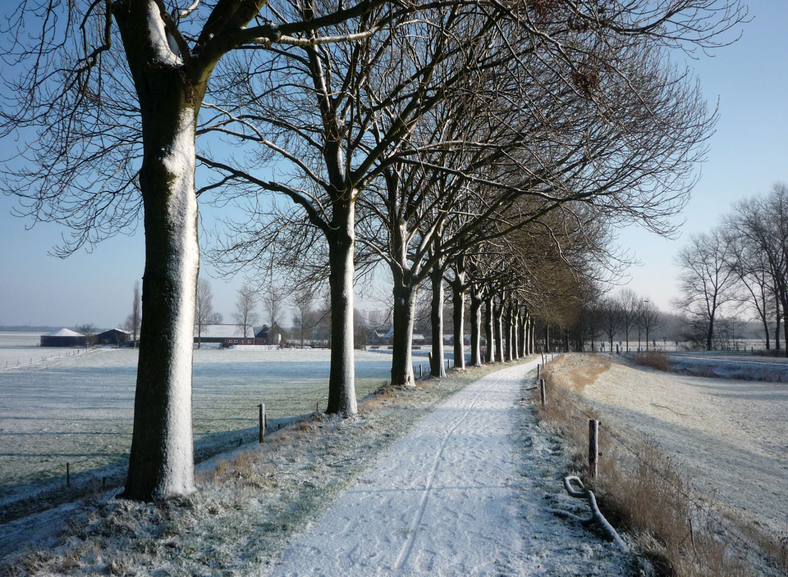 Fond d'écran paysage, Lac, eau, vélo, ciel, neige, hiver, route