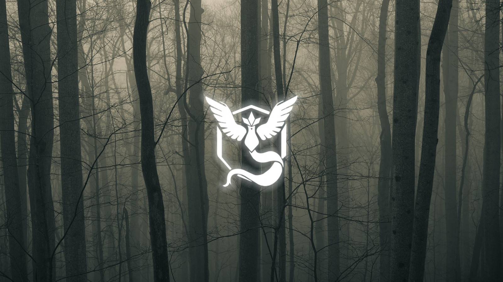 1920x1080 px, mørk, grønn, lag Mystic, trær, hvit