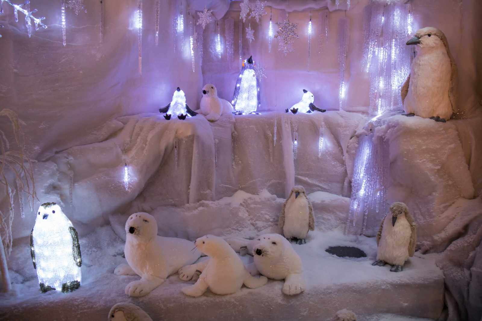 คริสต์มาส, ตกแต่ง, เบา, คริสต์มาส, จูล, exif model canoneos760d, ประเทศธรณีวิทยา, กล้องทำให้ Canon, geocity, กล้องรุ่น canoneos760d, geostate, ตำแหน่งทางภูมิศาสตร์, เลนส์ Exifs efs18200mmf3556is, exif ทำให้ canon, exif isospeed 1250, ความยาวคลื่น exif 18mm, belysning, รูรับแสง exif 35, vellinge, vellingeblomman, dekorationer, ตกแต่งคริสต์มาส