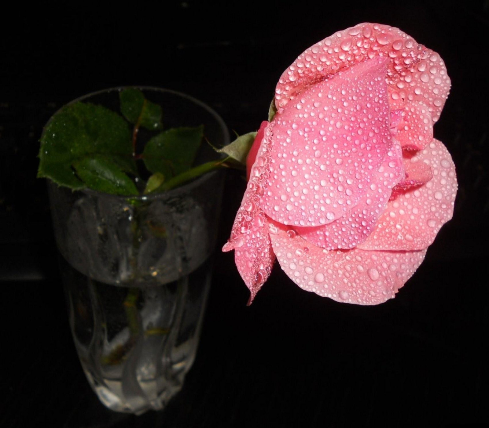 My Image 10